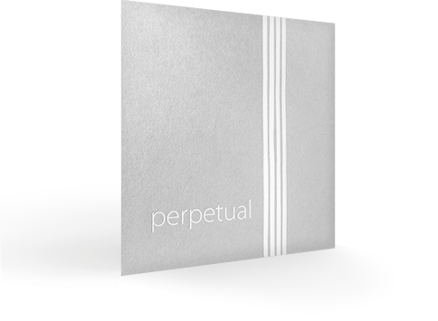 3cel_perpetual_persp72